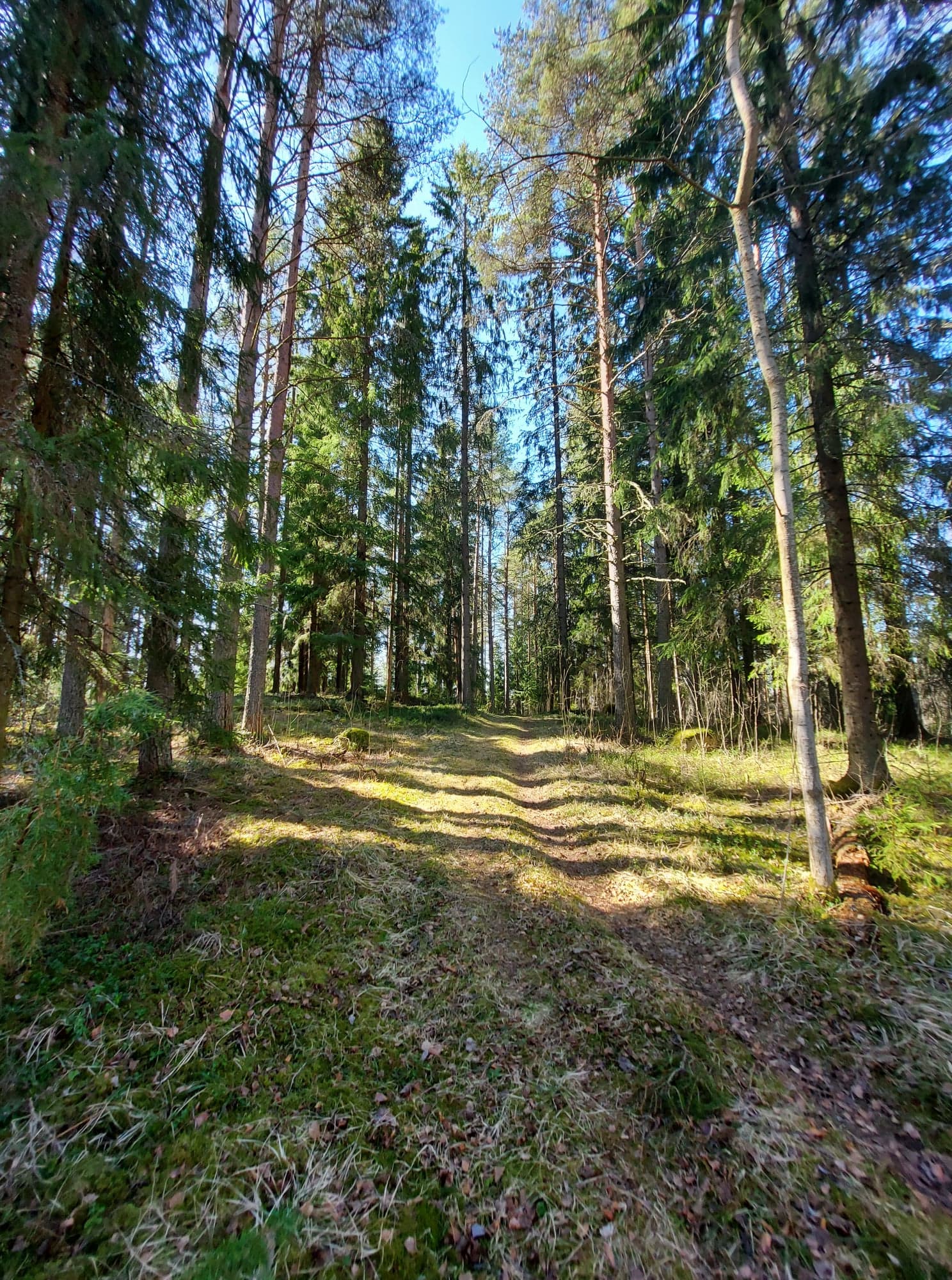 187636790 217630116554924 1866310411482447345 n