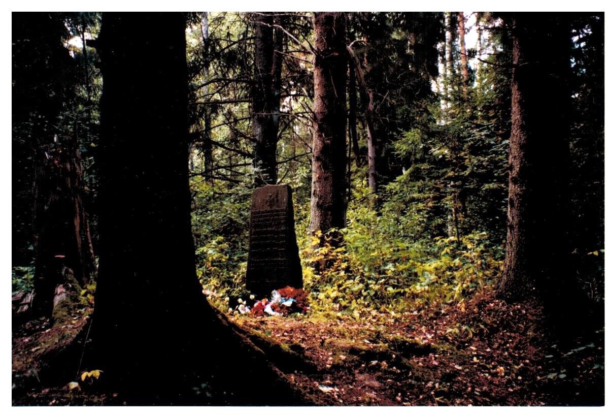 Vuonna 1996 hautojen muistokiven ympärillä kasvoi järeä kuusikko.