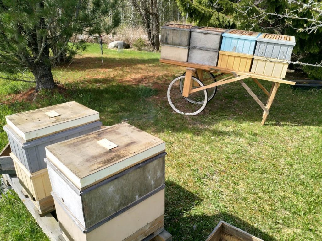 Lisää tilaa mehiläisille!