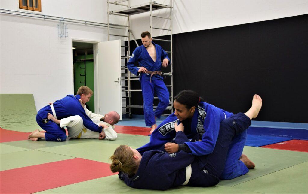 Vimp bjj veto 5 – kopio