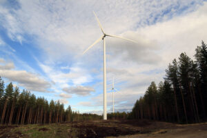 Mittava tuulivoimarakentaminen metsäalueilla syö metsän kokonaispinta-alaa ja vaikuttaa monimuotoisuuteen. Kuva: Eija Pippola.