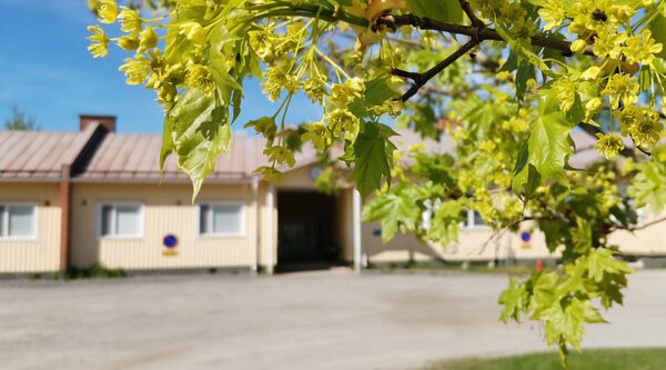 Rantakankaan koulu sulkeutunee lukukauden päättyessä. Kuva: Eija Pippola.