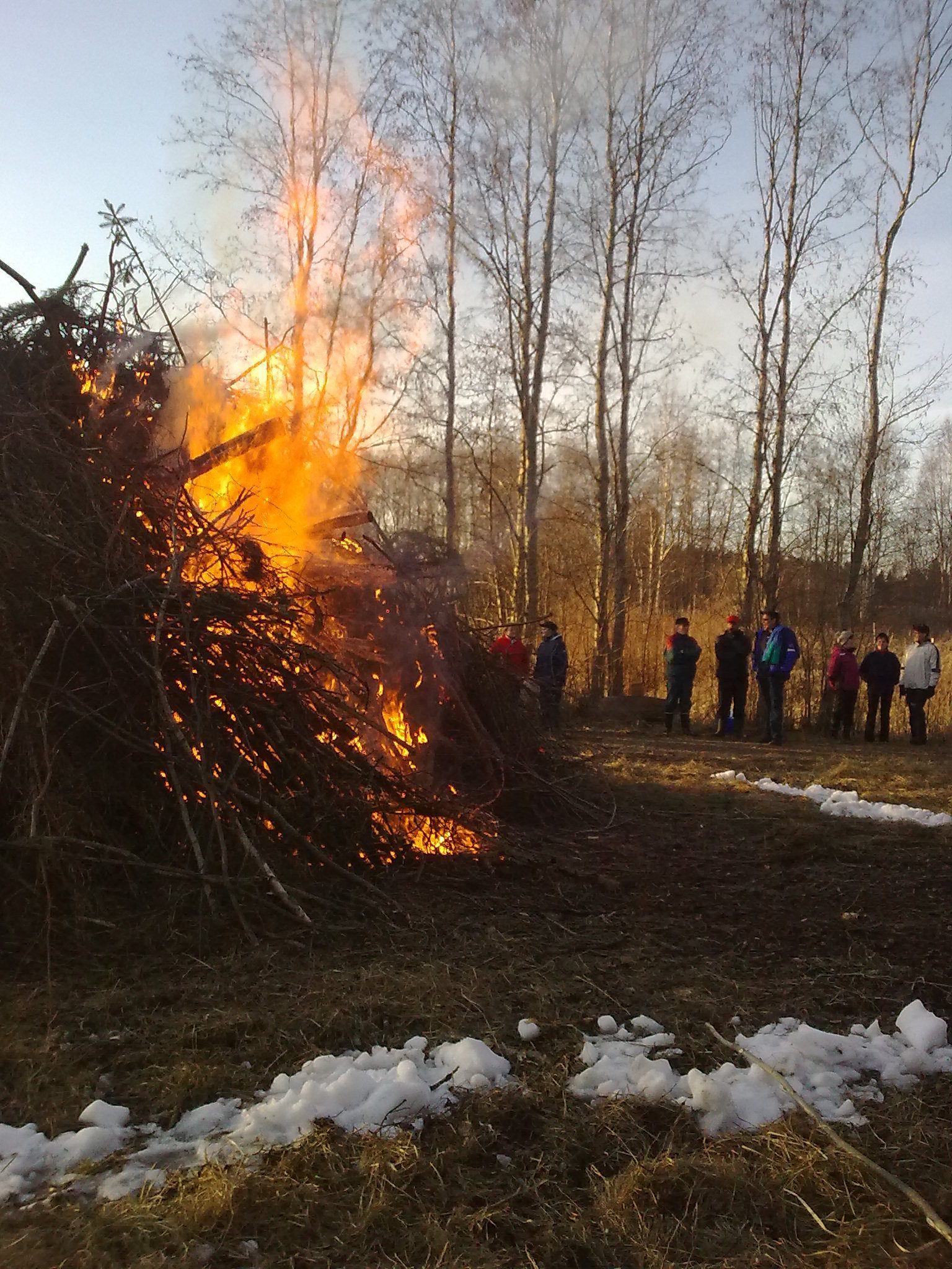 Vuonna 2011 oli komea kokko Pyhälahdessa.
