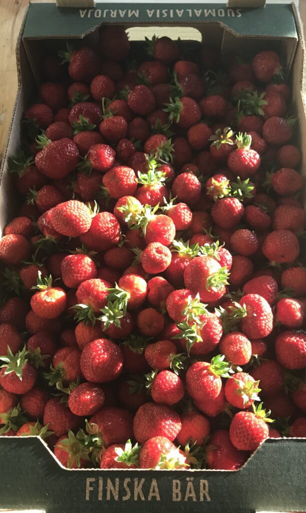 Puhdasta ja laadukasta mansikkaa suoraan Alalantelan tilalta Sadeharjuntieltä.