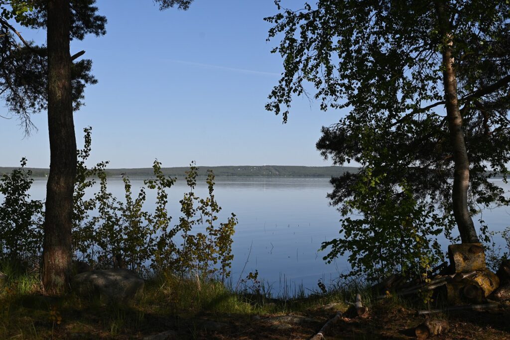 Suomen luonnon päivää juhlittiin luonnon helmassa. Kuva: Johanna Korkea-aho