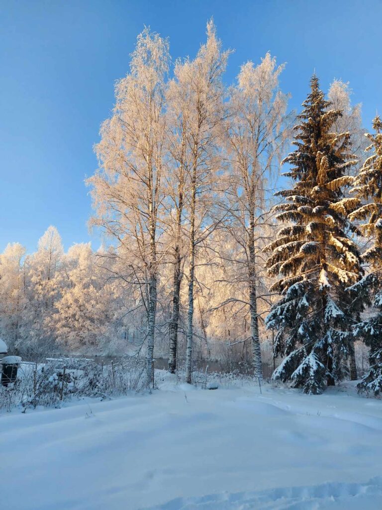 Heikki Salmela muistelee Karhuahon kaiuissa menneiden talvien kylmyyttä. Kuva: Suvi Hosionaho.