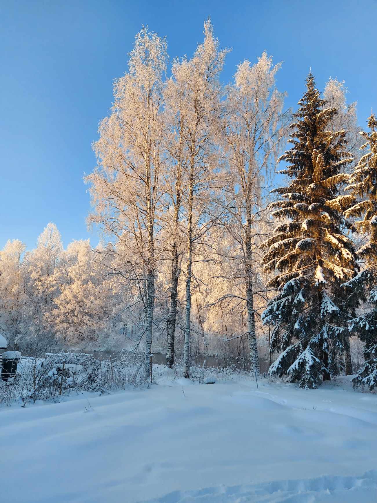 Heikki Salmela muistelee Karhuahon kaiuissa menneiden talvien kylmyyttä. Kuva: Suvi Hosionaho.