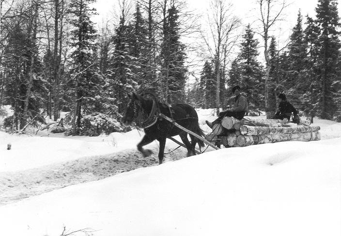 Tukinajoa reellä. Kuva: Suomen metsämuseo.
