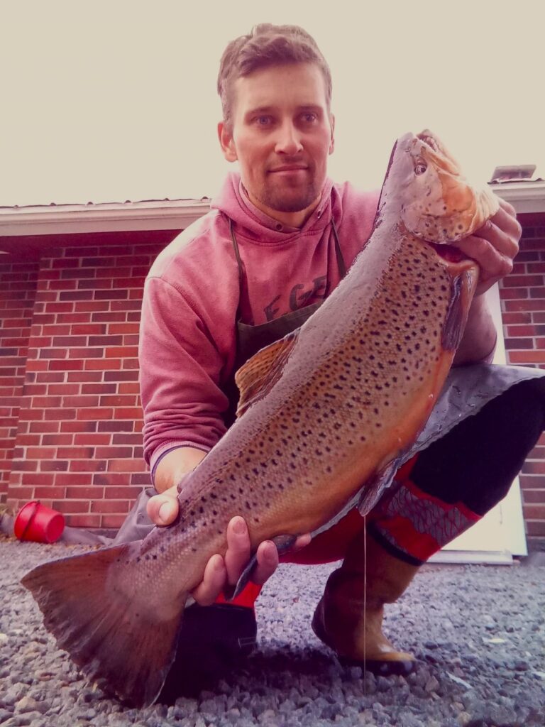 Ahti oli antelias. Kirjaimellisesti viimeisellä hetkellä, kun rysä nousi kuivumaan. Taimenen rötkö 4845 gr, joulukala. Kuva: Tuomo Savola.