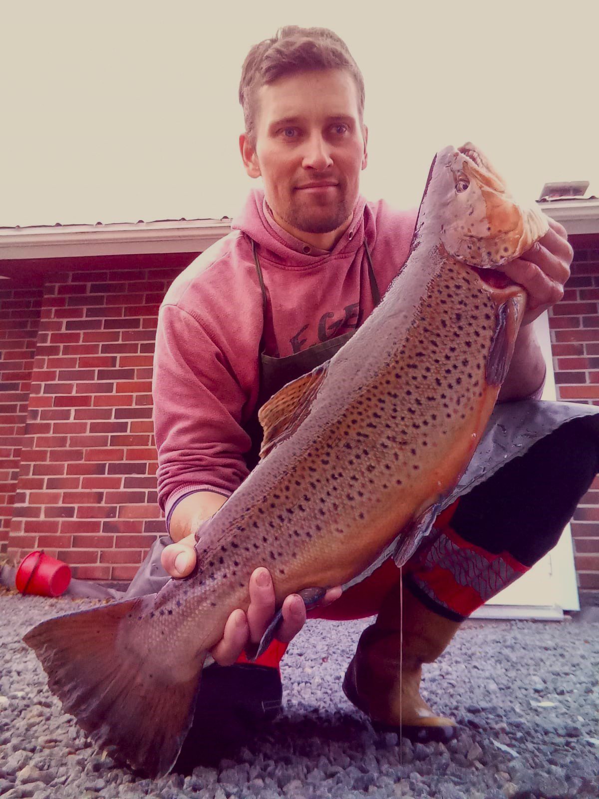 Ahti oli antelias. Kirjaimellisesti viimeisellä hetkellä, kun rysä nousi kuivumaan. Taimenen rötkö 4845 gr, joulukala. Kuva: Tuomo Savola.