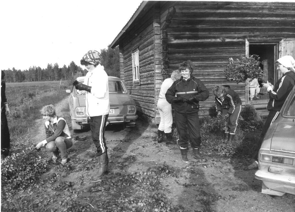 Saunavihtojen tekoa Vimpelin Loilulla, vaan mikä mahtaa olla vuosi?