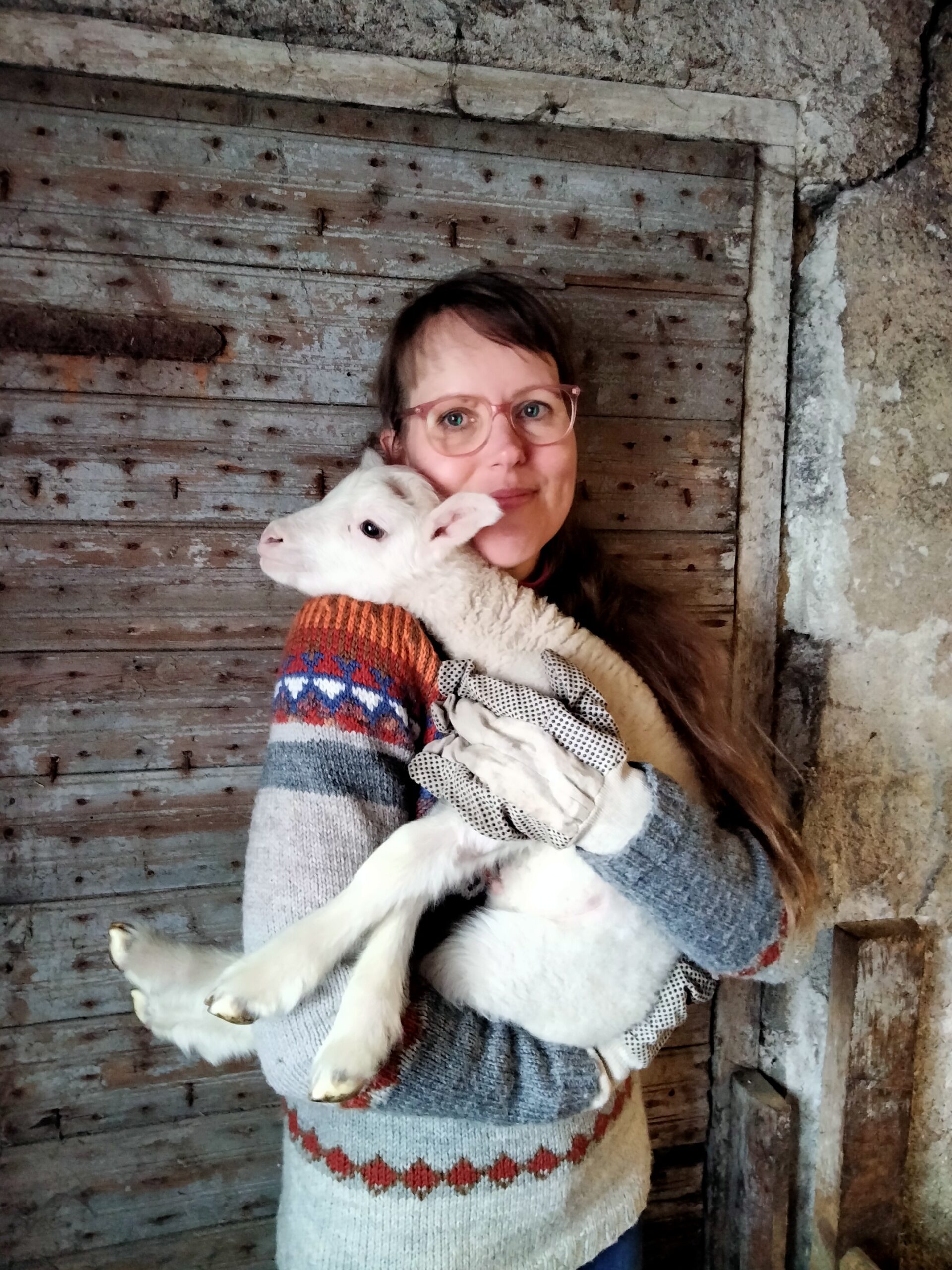 Kevään ensimmäiset karitsat ovat vasta muutaman päivän ikäisiä, Marjaana kertoo.