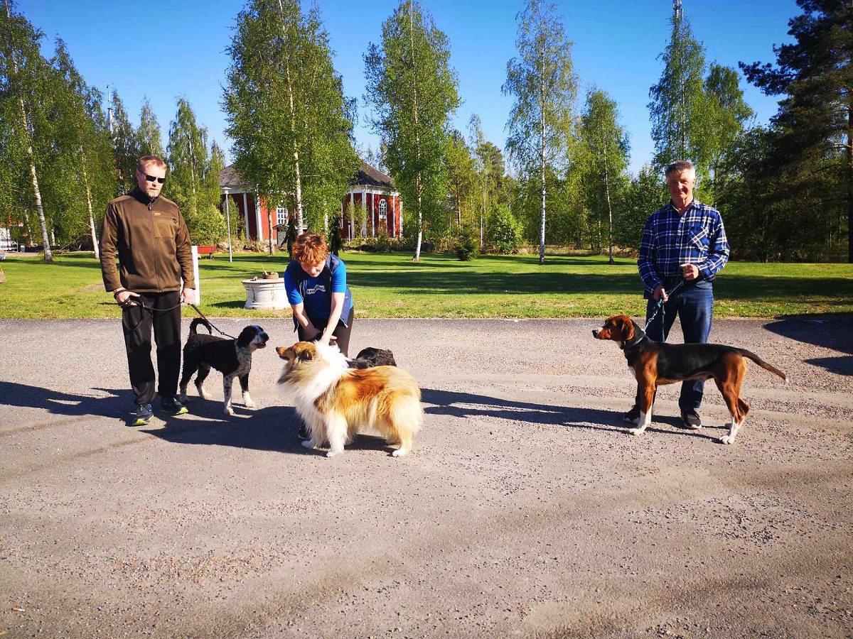 Antti Kaatrasalo ja Loki (vas), Tilda ja Juliaana ohjaajansa kanssa sekä Timo Kontiainen ja Börje treenaavat ahkerasti.