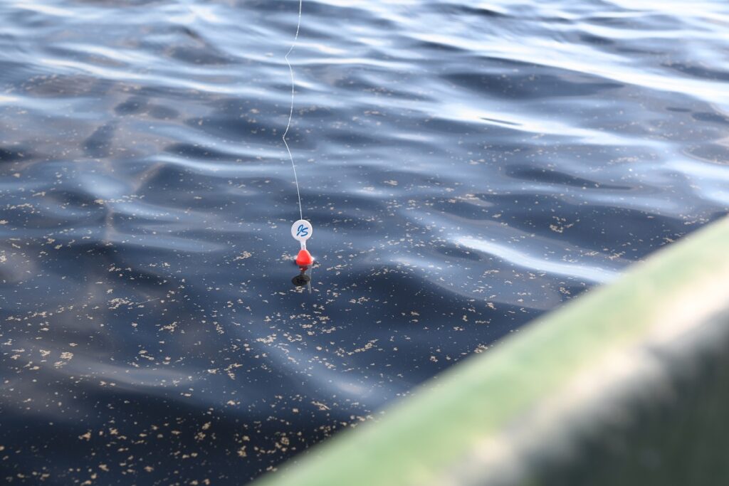 Nappaako onkiminen? Lähetä meille kalajuttusi niin saat Järviseudun Sanomien ongen.