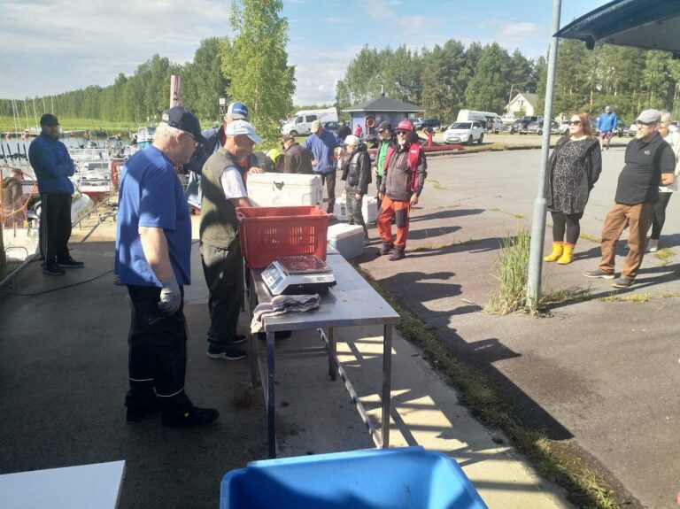 Kari Uusitupa punnitsemassa saaliskaloja.