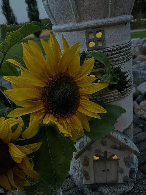 Hämärät kaupat järjestetään Evijärvellä perinteiseen tyyliin.