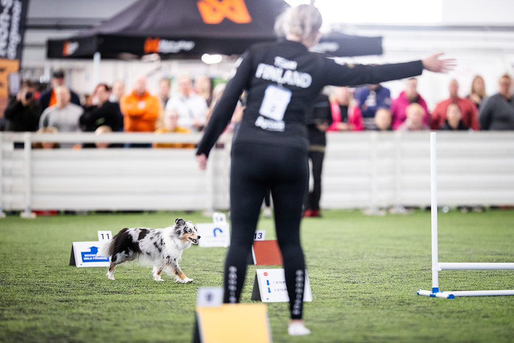 Rally-toko kiinnostaa erityisesti nuoria. Jukka Pätynen/Koirakuvat.fi