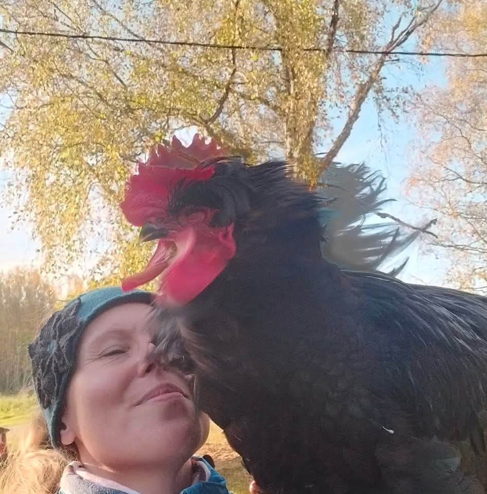 Marjaana Hinkka ja perheen kukko Herran Tankki. Kuvat: Hinkan albumista