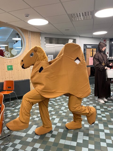 Kamelikin oli tullut lukioon.