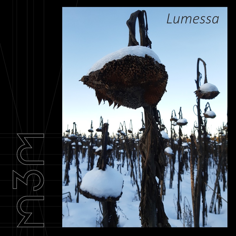 Jäätynyt auringonkukkapelto Kortesjärvellä teki vaikutuksen Pasi Mattilaan. Hän päätti ikuistaa sen Lumessa-EP:n kansikuvaksi. Mattilan mukaan haaveena on julkaista EP myös vinyylinä sekä järjestää levynjulkaisukeikka.