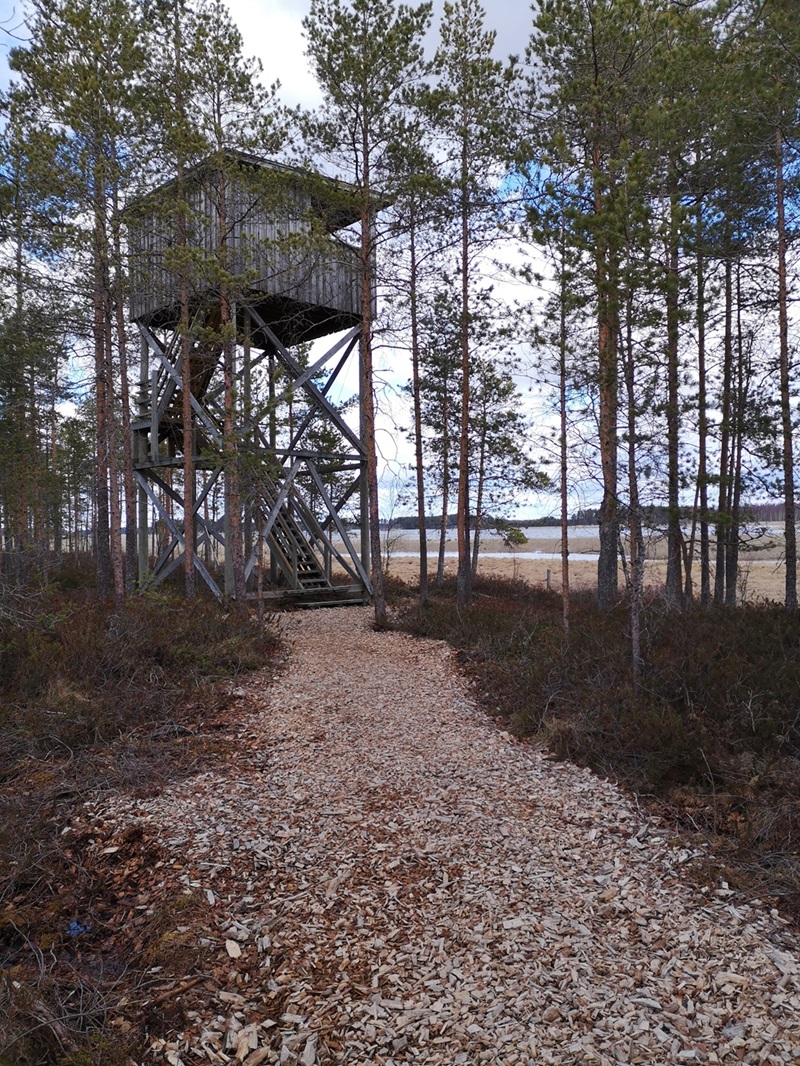 Evijärven lintutorni