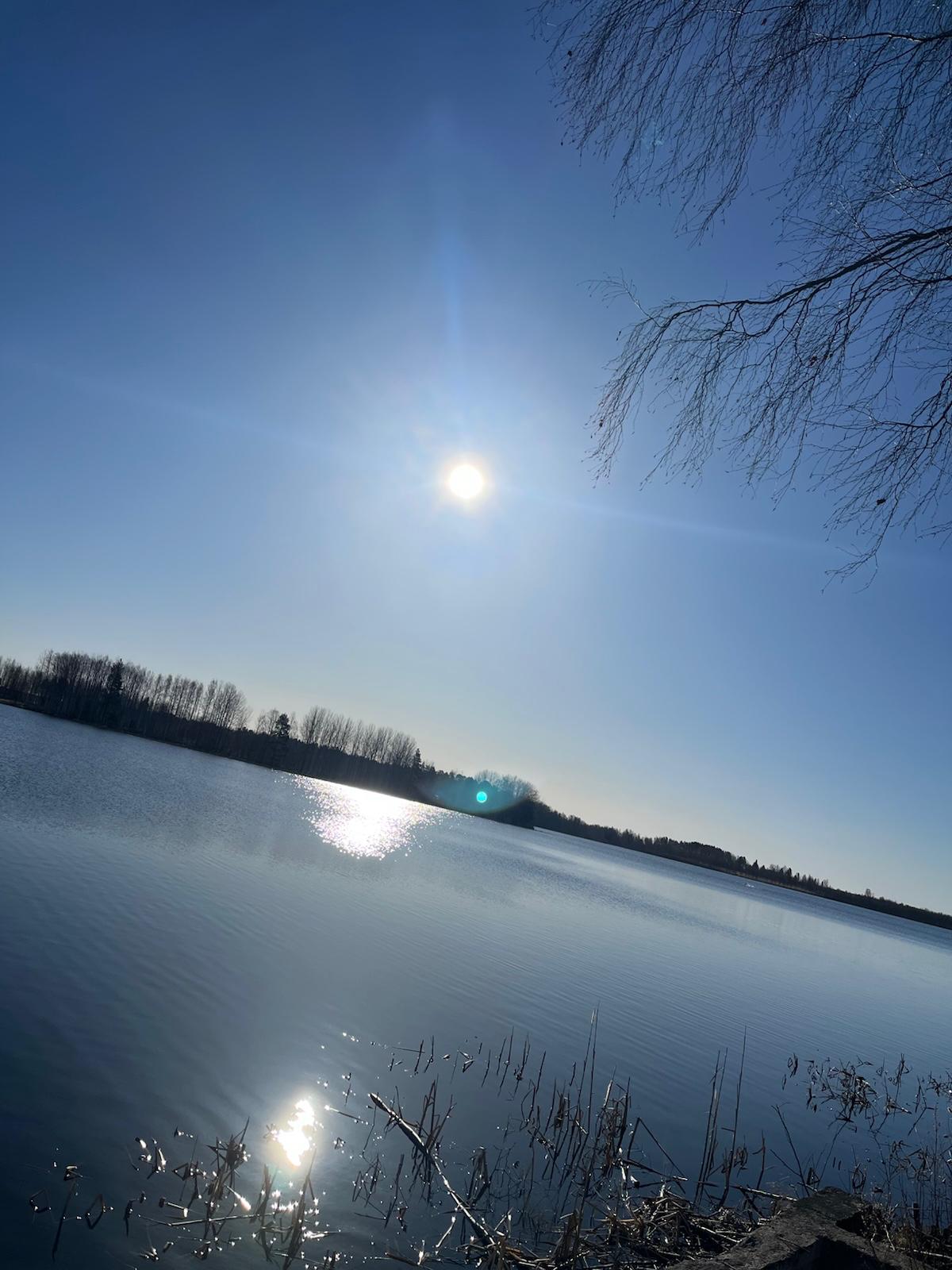 Kesä on tulossa, kuva