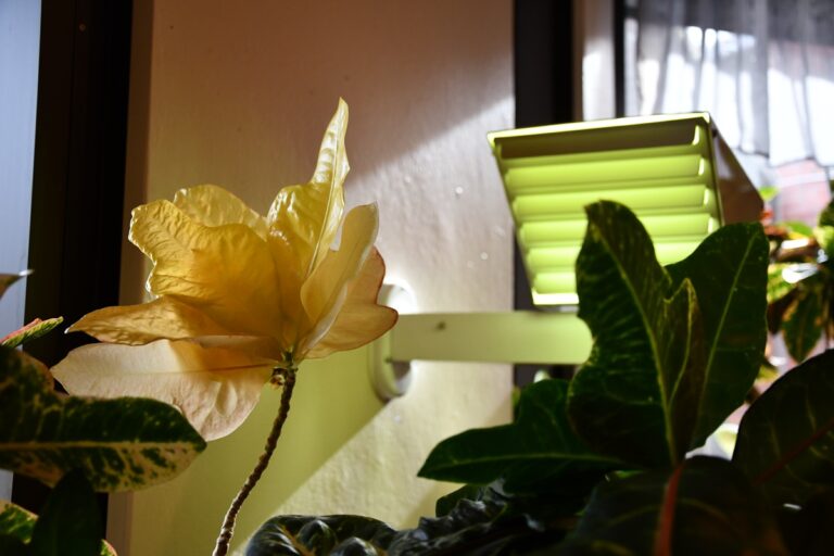 Evijärven sivistys- ja hyvinvointilautakunta jakoi kevään avustukset nuoriso-, liikunta- ja kulttuuritoimijoille. Arkistokuva kunnantalolta.