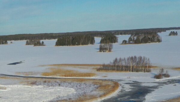 Evijärven vesipinta-ala jää jään alla pieneksi ja pahentaa järven tilannetta entisestään, kirjoittaa Tapio Elgbacka.