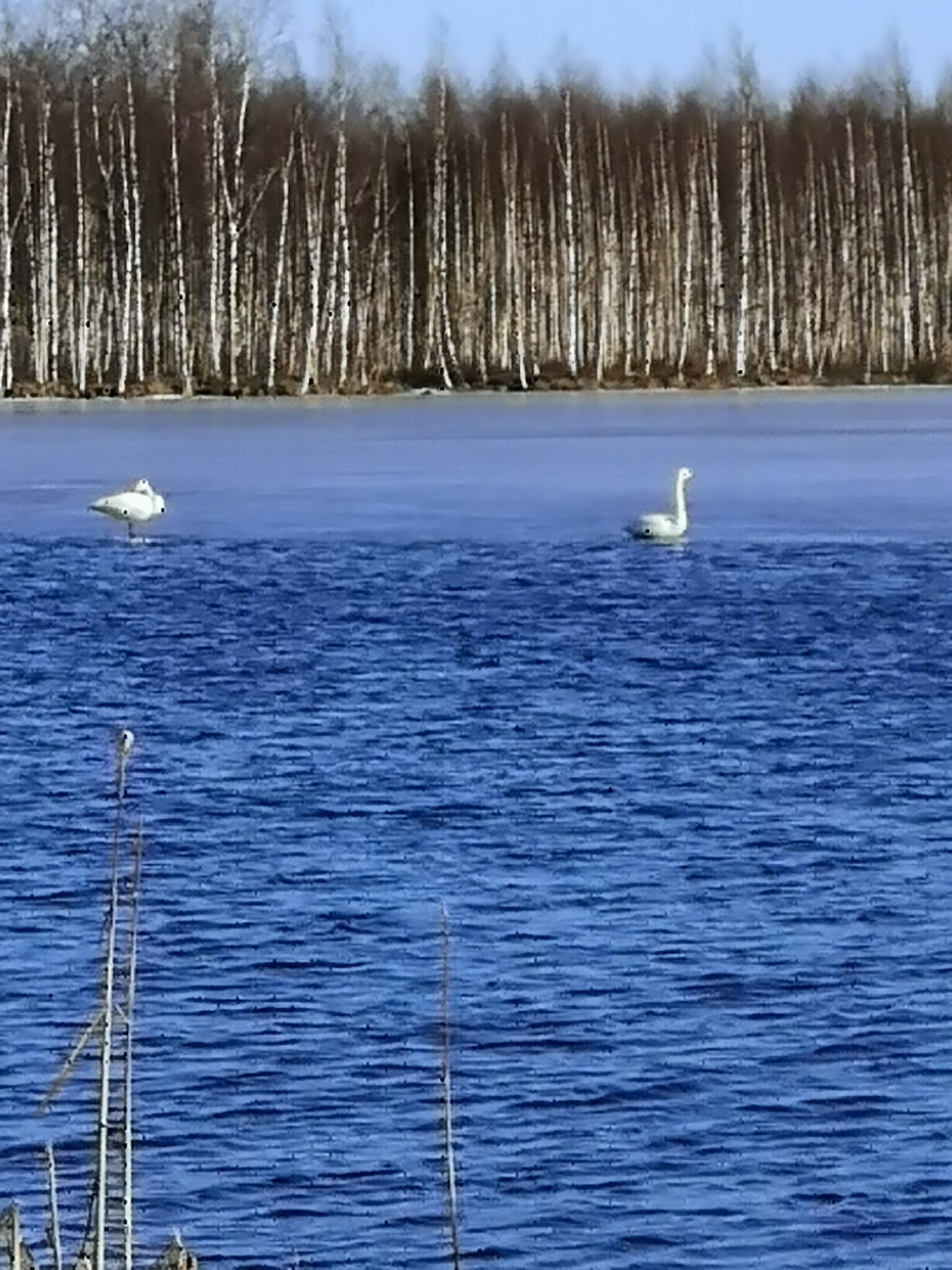 Evijärven vedenkorkeutta nostetaan parhaillaan kesätasolle. Kuvituskuva.