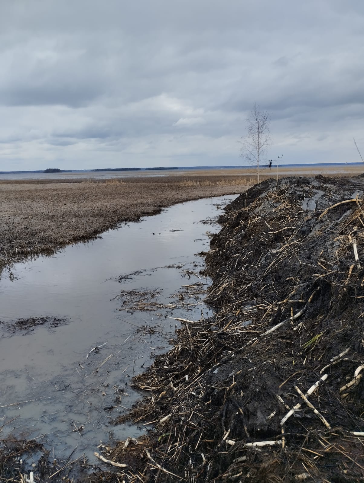 Aallonmurtajien viereen ruopattiin syvät kanavat. penkat tasoitellaan ja siistitään. kuva eero rannanpää
