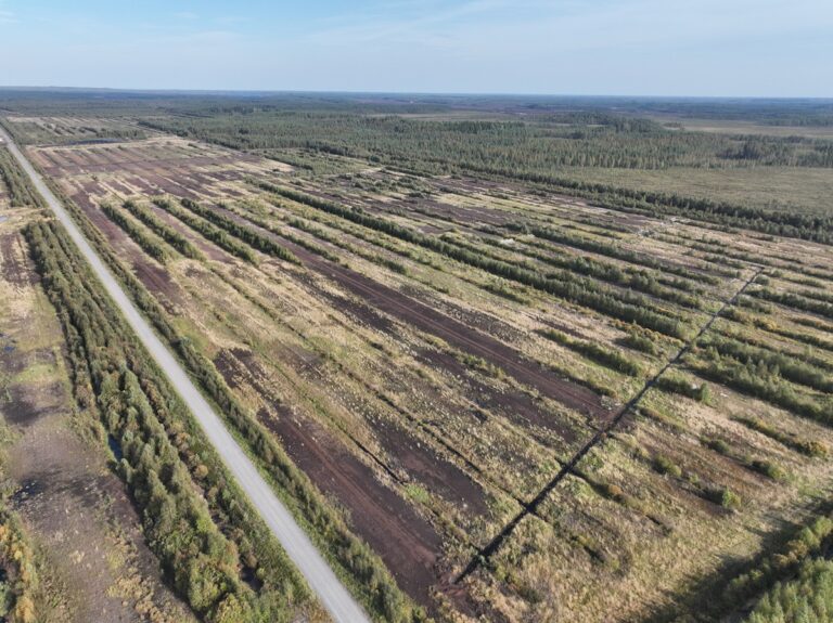 Korpisalonnevan aurinkovoimapuisto sijoittuu turvetuotannosta vapautuville alueille. Kuva: Neova.