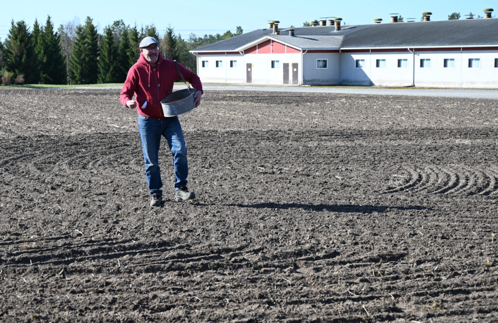 Kuva 2 jarkko mattila kylvää vehnää 2025