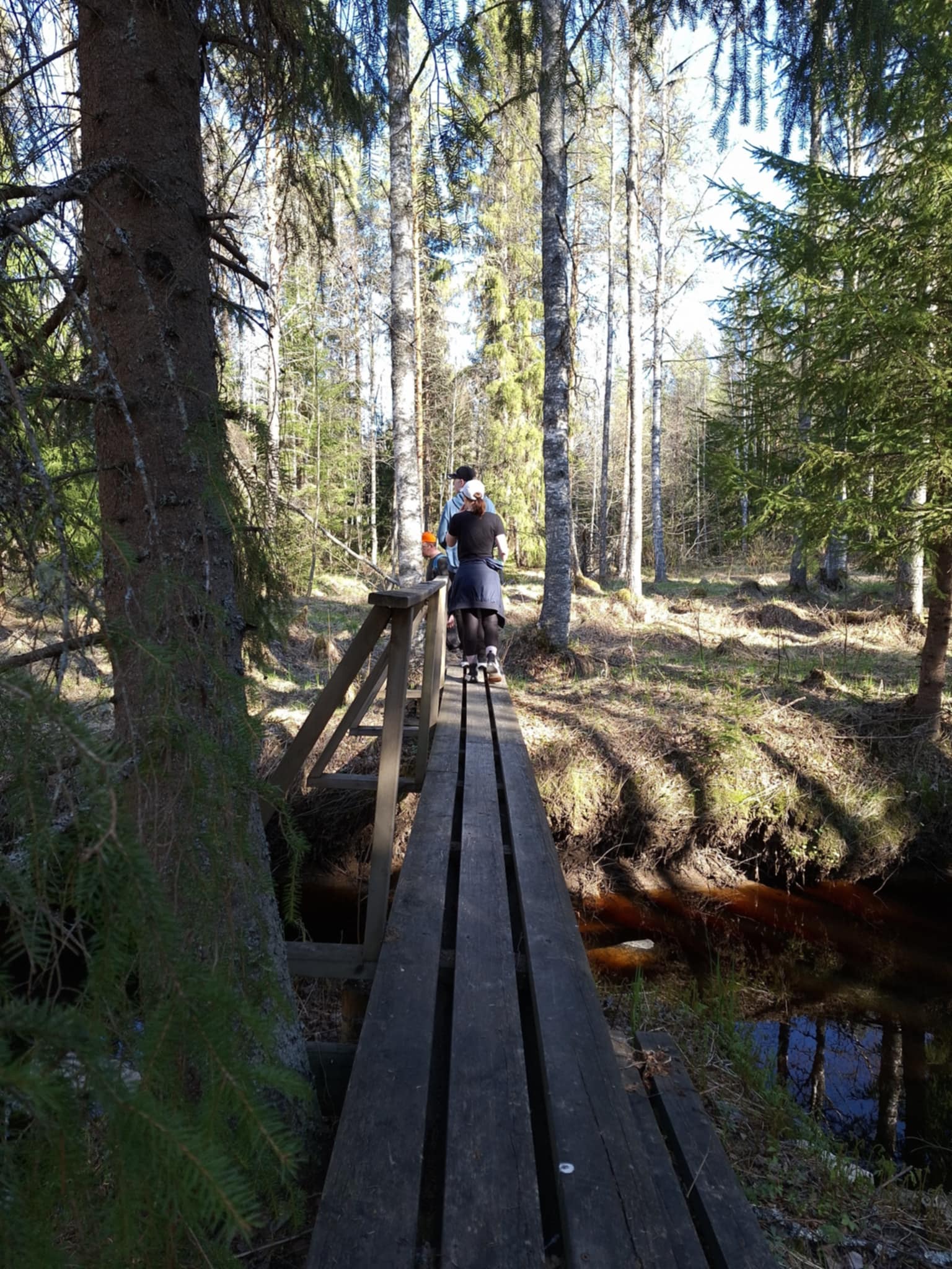 Soinissa on patikoijan paratiisi.