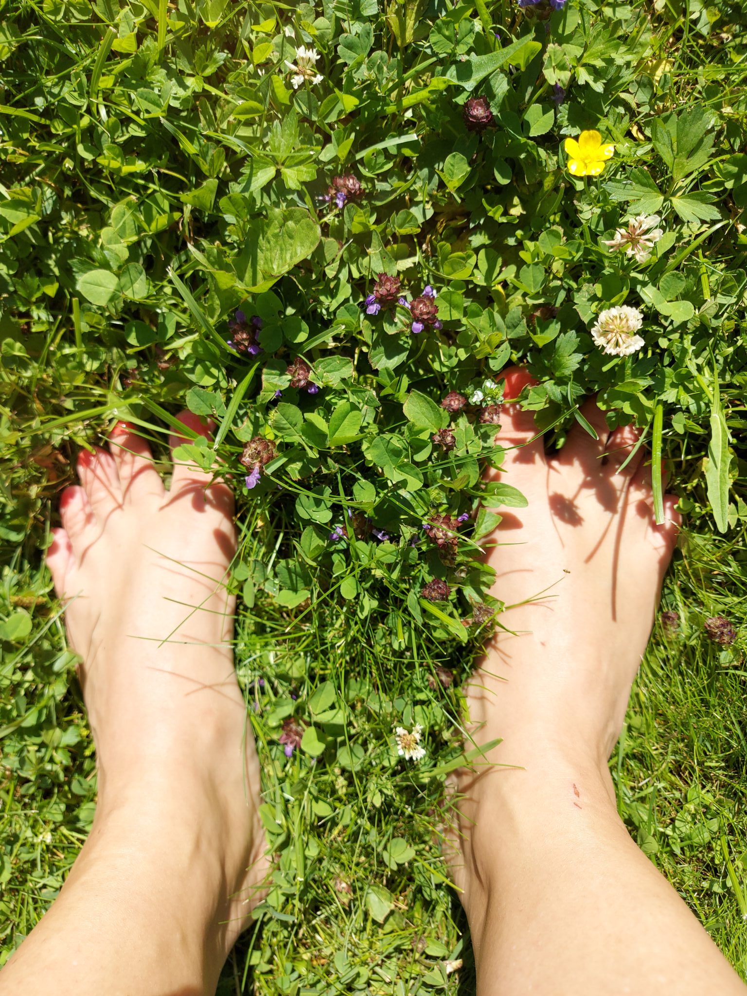 Paljain jaloin kävely tekee hyvää!