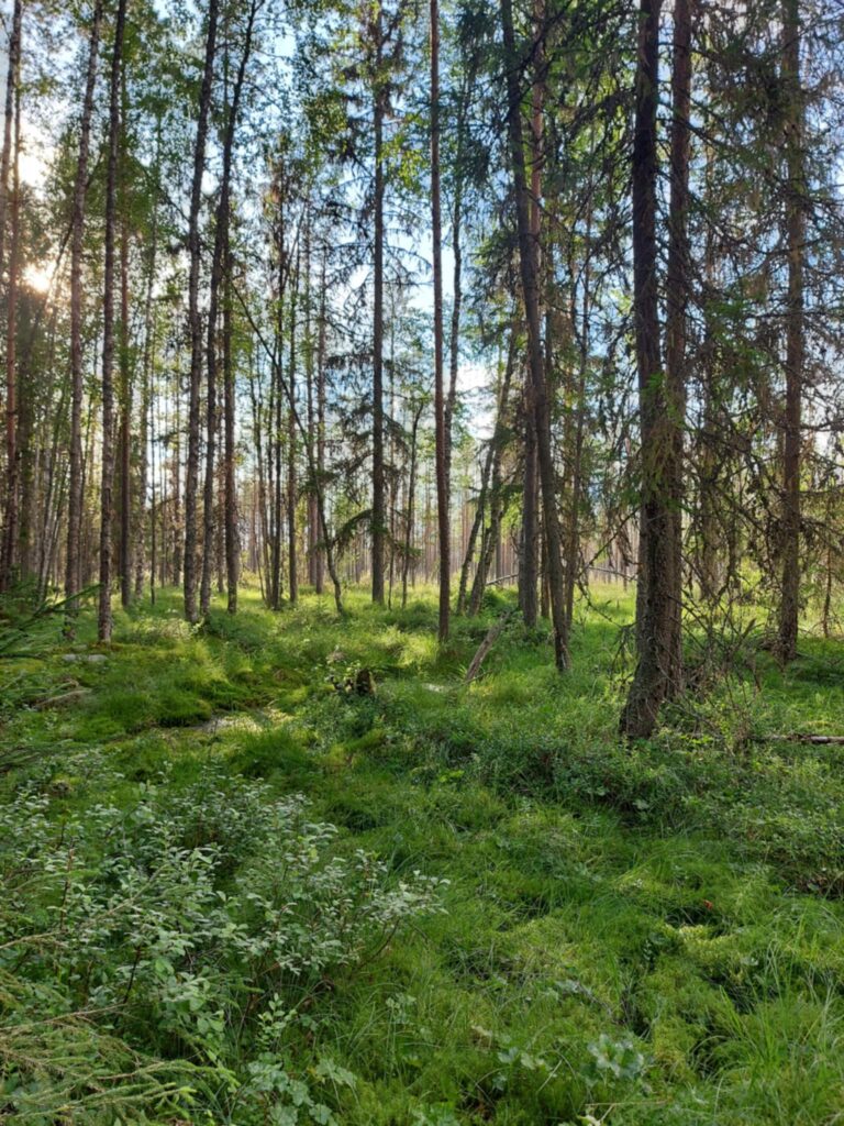 8f21f73c 1dc0 4f76 97ec a7560cb278ee