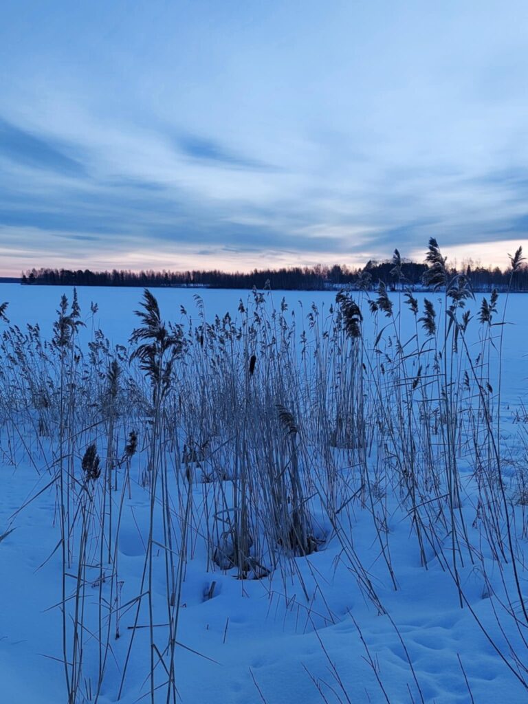 93e9edd2 bbcf 449c 9683 c98c90db1759