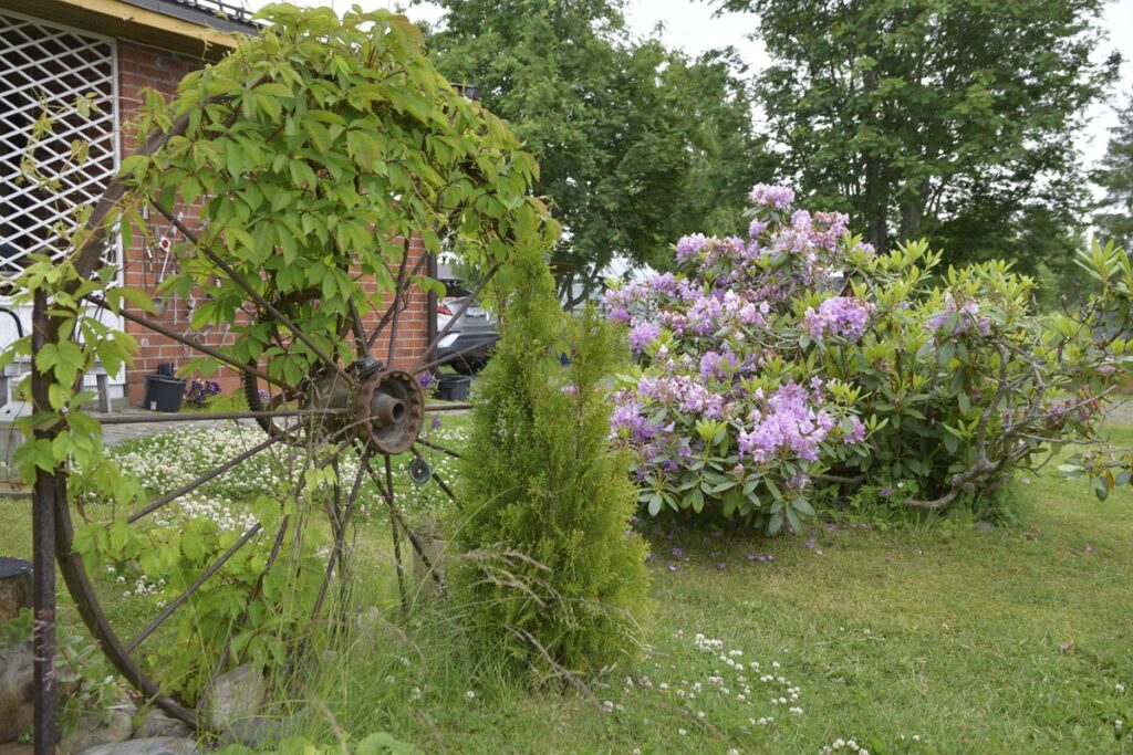 Kuva 9 kärrynpyörä