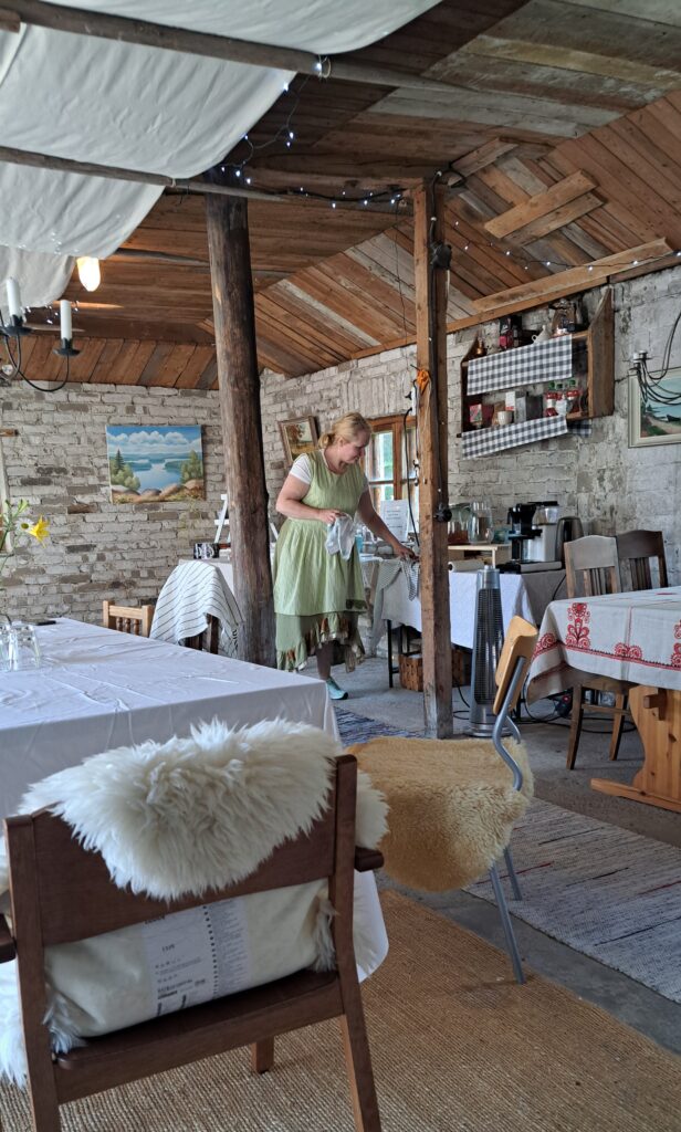 Kuvataideleiri 2025 annoin itselleni kuva 5 villa wanhalan miljöö ja heli rintamäki (1)