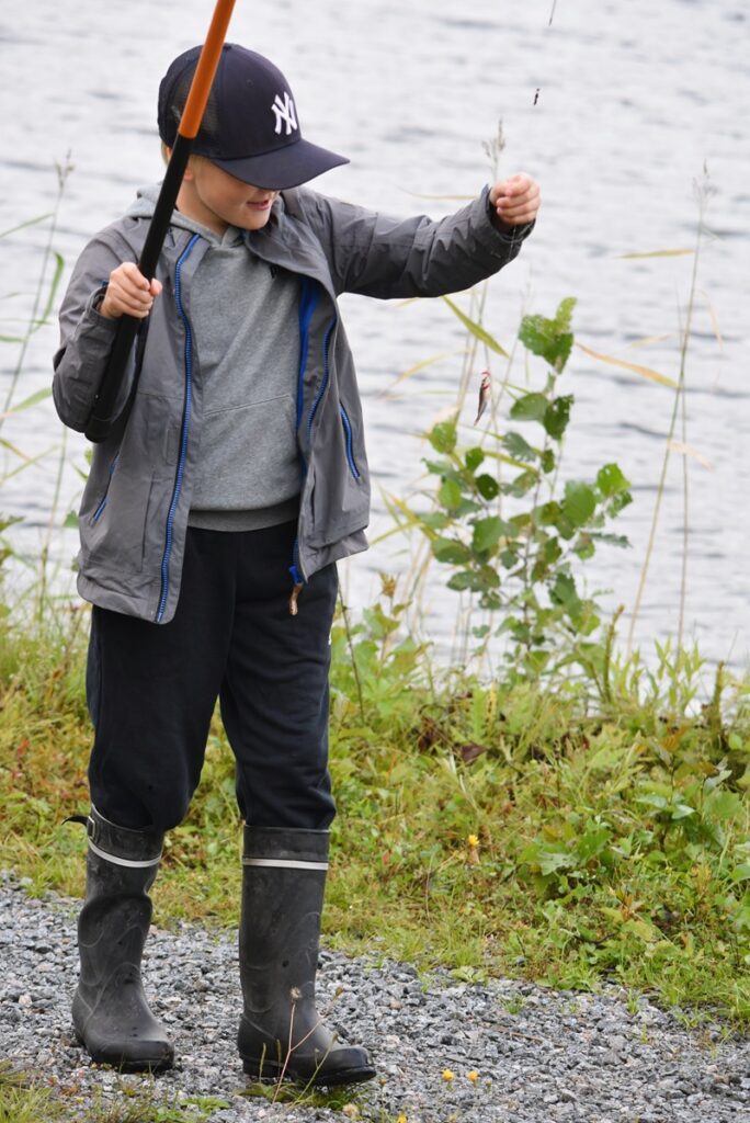 Kalaa nousi Lauttoselta,