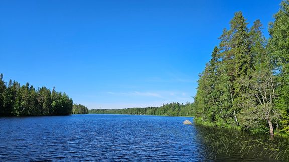 Pohjanmaan ja Etelä-Pohjanmaan maakunnissa on monimuotoista luontoa. Alueelliset toimijat ja asukkaat voivat osallistua luontoarvojen edistämiseen ja säilymiseen eri tavoin. Kuva: Etelä-Pohjanmaan ELY-keskus.