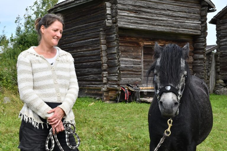 Teresia Eilosen kotona on viisi ratsua, joista Abbe-poni on yksi. –Hevoset nauttivat ulkona olosta ympäri vuoden.