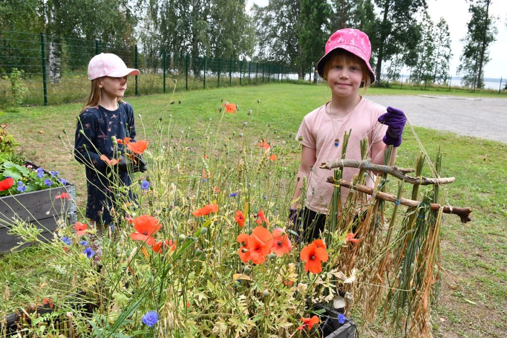 Camilla Hautamäki (vas.) ja Pia Pehkonen kokosivat viljantähkistä koristeita.