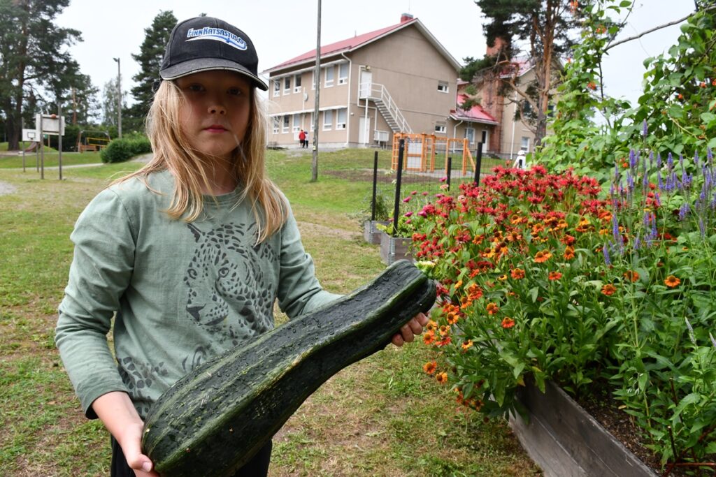 Aatos Ojajärvi esittelee kasvulaatikon satoa.