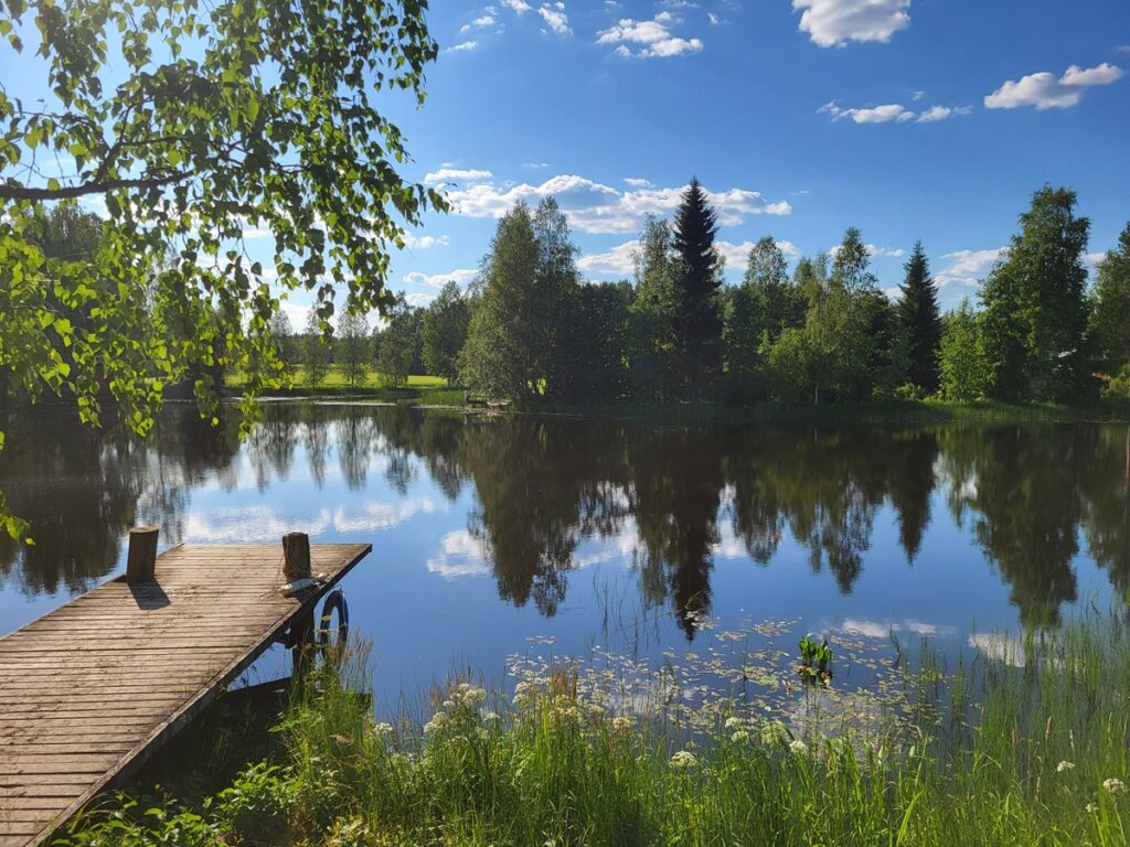 Kultalahti järvenranta Kuva: Päivi Kultalahti