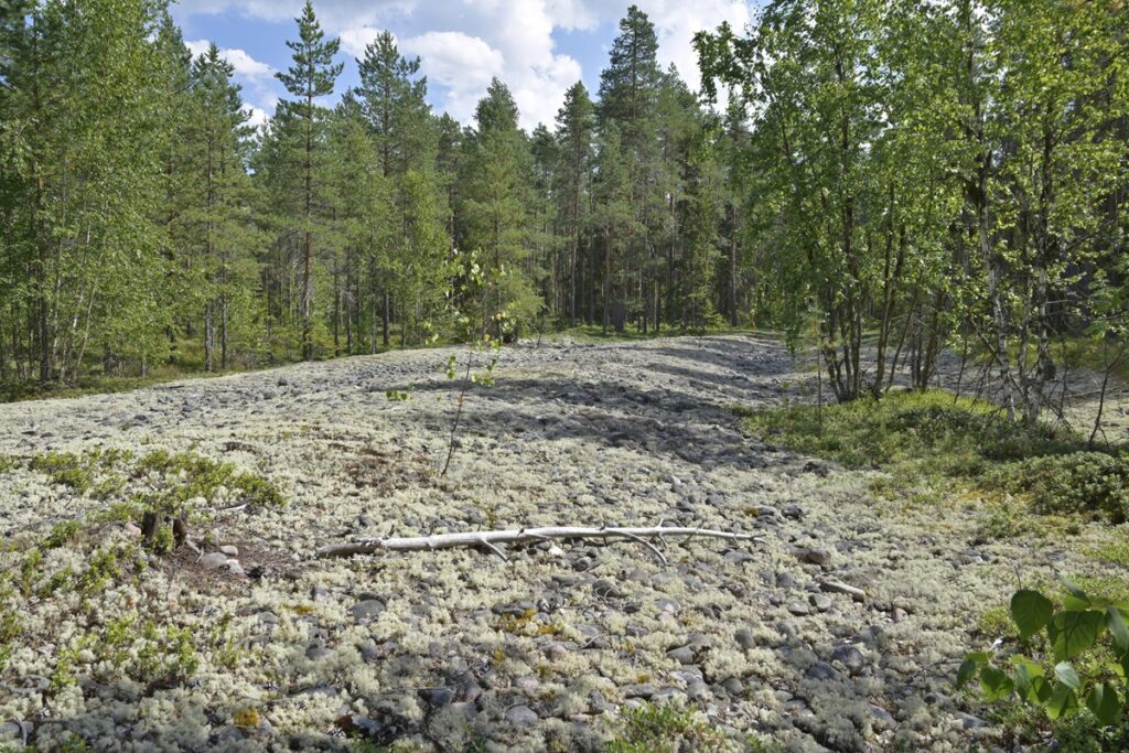 Lainekallion pinnanmuodot näkyvät selvästi muodostelman reunalta. Pirunpellolla kävelyä tulee välttää jäkälän kulumisen vuoksi.