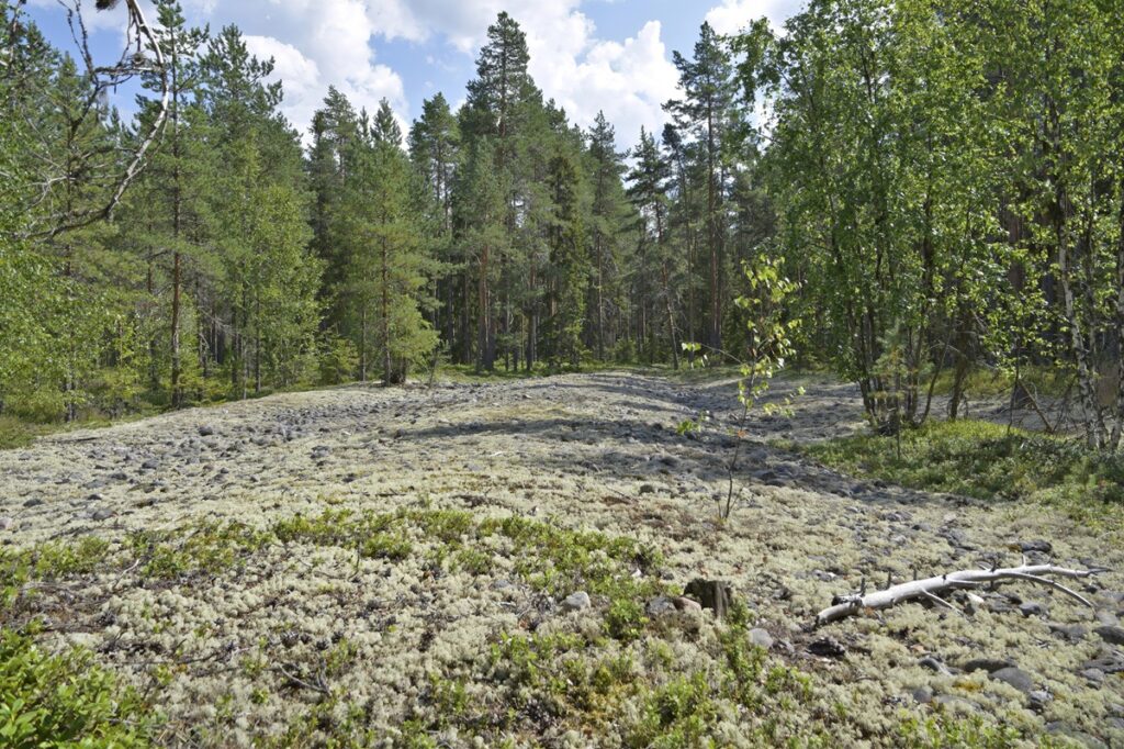 Kuva 2 lainekallio 2