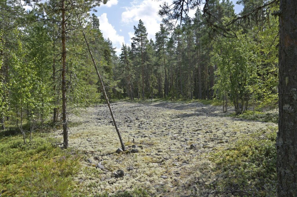 Kuva 3 lainekallio 3