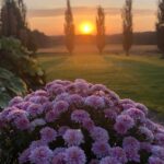 Hämärät kaupat järjestetään Evijärvellä jälleen 12. syyskuuta. Kuva: Sirpa Kultalahti.