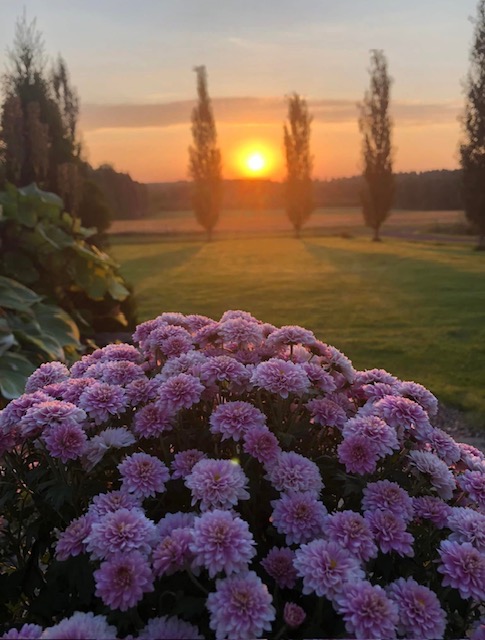 Hämärät kaupat järjestetään Evijärvellä jälleen 12. syyskuuta. Kuva: Sirpa Kultalahti.