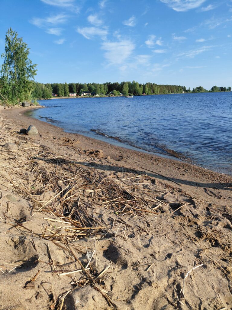 Lappajärvi, ranta.